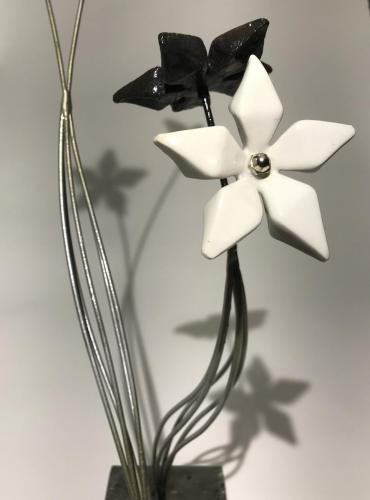 BlackAndWhite_Detail2