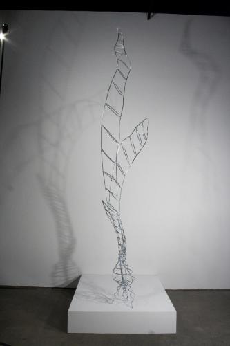 Static Germination 1